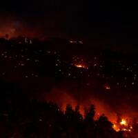 hutan-di-san-diego-california-ikut-membara
