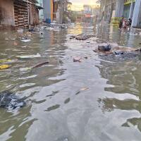 jakarta-utara-terancam-banjir-rob-pekan-depan-air-laut-naik-tanpa-hujan