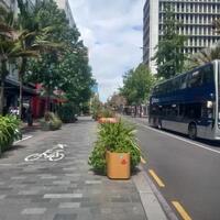 gaya-hidup-warga-auckland-hidup-tidak-ngoyo-tapi-banyak-duit