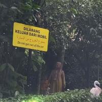 netizen-desak-taman-safari-blacklist-pengunjung-yang-keluar-dari-mobil