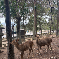 menperin-bilang-kepemilikan-kendaraan-orang-indonesia-masih-rendah