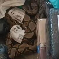 isi-paket-sekarang-beragam-ya-gan