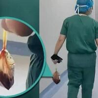 plasenta-ibu-melahirkan-dijual-rp5-juta-kilo-dokter-ini-ambil-dari-rumah-sakit