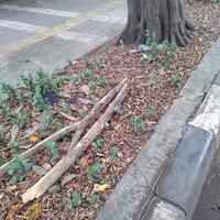 post-image