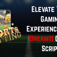 elevate-your-gaming-experience-with-dream11-clone-script
