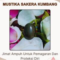 mustika-sakera-kumbang
