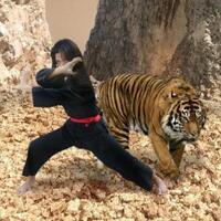 jasa-gemblengan-silat-ghaib-instan