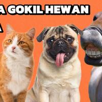 fakta-unik-hewan-sehari-hari-yang-jarang-diketahui