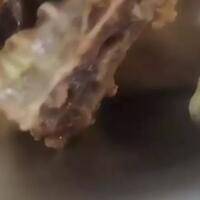 viral-lauk-mbg-di-tuban-berisi-belatung-camat-hanya-4-kotak-makan-di-dua-lokasi