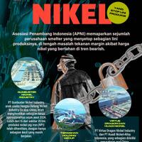 seleksi-alam-smelter-nikel-ri-dimulai-shutdown-bisa-lanjut-2026