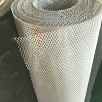 tragis--seekor-burung-camar-tewas-ditabrak-jet-tempur-typhoon-milik-spanyol