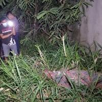 tragis-bos-angkringan-ponorogo-dihabisi-pria-pengangguran-saat-oral-seks