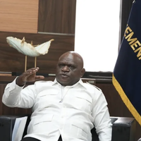 menteri-ham-pemerintah-bisa-tegas-larang-pengibaran-bendera-one-piece