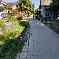 tanah-250-m-view-sawah-di-sawah-luhur-kasemen-kota-serang