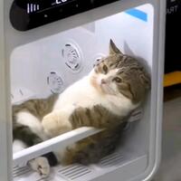 mencengangkan-perempuan-di-mojokerto-yang-sudah-menjanda-ini-dirudapaksa-oleh-wanita