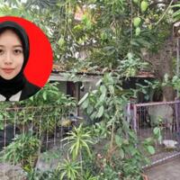 geger-mutilasi-65-potongan-di-pacet-mojokerto-warganet-setan-ae-heran