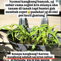 nanda-gita-mau-yang-sulit-sulit