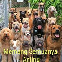 dpr-sebut-gedung-ma-bisa-roboh-jika-semua-hakim-penerima-suap-zarof-dibongkar