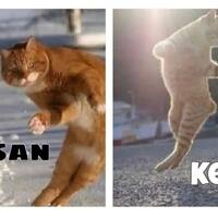 juventus-fc-spa----casa-dei-bianconeri-juvekaskus-indojuvejofc---part-2