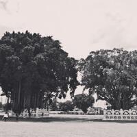 post-image