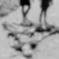 dituding-intel-opm-tembak-mati-dua-pendulang-emas-di-yahukimo-polisi-kami-dalami