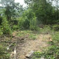 jual-tanah-kosong-gowa-sulawesi-selatan-lokasi-strategis