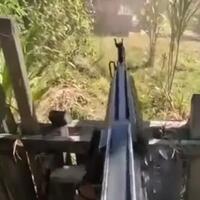 14-anggota-opm-tewas-tni-berhasil-kuasai-mabes-kodap-vii-soanggama