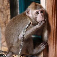 jenis-jenis-lensa-kamera-digital-dan-kelebihannya