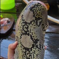 pemiliknya-meninggal-karena-rabies-daging-anjing-malah-dimakan-17-warga