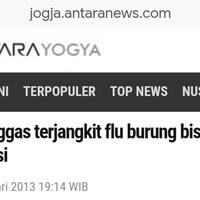 pemiliknya-meninggal-karena-rabies-daging-anjing-malah-dimakan-17-warga