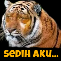 wapres-gibran-kaget-harga-minyak-kelapa-di-malut-mahal-banget-ya-ampun