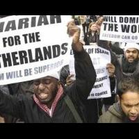 indonesia-siapkan-lahan-15-ribu-hektare-untuk-palestina