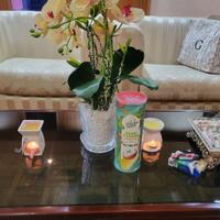 nanda-gita-mau-yang-sulit-sulit