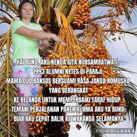 nanda-gita-mau-yang-sulit-sulit