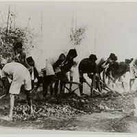 ribka-dipolisikan-gegara-tolak-soeharto-jadi-pahlawan-pdip-anggap-pembungkaman