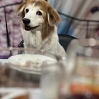 nanda-gita-mau-yang-sulit-sulit