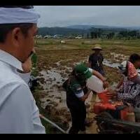 sukses-uji-coba-lapangan-kdm-siap-modali-produksi-massal-bobibos