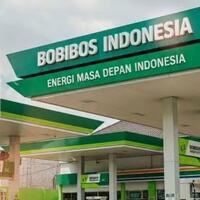 brin-ajak-tim-bobibos-bermitra-begini-penjelasan-ilmiah-jerami-jadi-bahan-bakar