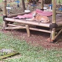 nanda-gita-mau-yang-sulit-sulit