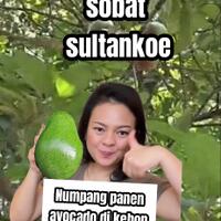 nanda-gita-mau-yang-sulit-sulit