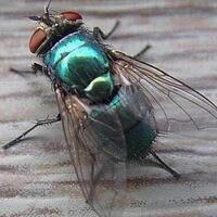 prabowo-bentuk-satgas-khusus-bangun-300-ribu-jembatan