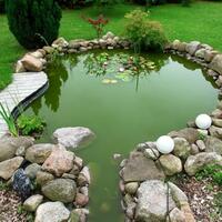 mengapa-jarang-sekali-ada-senyawa-organik-sederhana-yang-berwarna-hijau