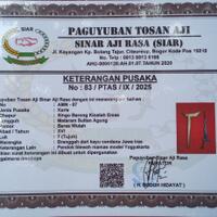 keris-singa-barong-kinatah-emas-asli-dan-tua-era-kerajaan-mataram-sultan-agung-kuno