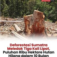 jatam-banjir-aceh-terjadi-di-wilayah-konsesi-hutan-industri-milik-prabowo-subianto