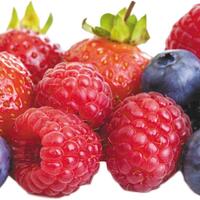 5-jenis-antioksidan-alami-terkuat-beserta-manfaatnya