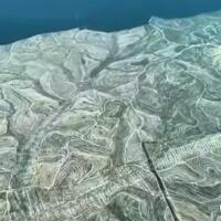 viral-influencer-amerika-bikin-geger-hutan-indonesia-gundul-sejauh-mata-memandang