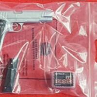 mabuk-miras-wna-belanda-todongkan-pistol-ke-pegawai-restoran-di-bogor