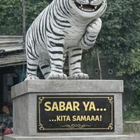 patung-macan-lucu-di-markas-tni