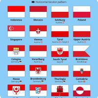 tpnpb-kodap-iv-sorong-raya-bakar-bendera-merah-putih