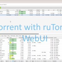 seedbox-torrentbox---torrentbox-fr-nl-3--rp50000--disk-space-200-gb